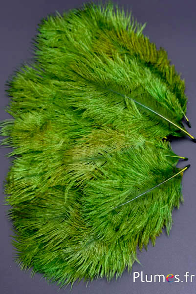 Strauss Franzen - 8-15 cm - rot